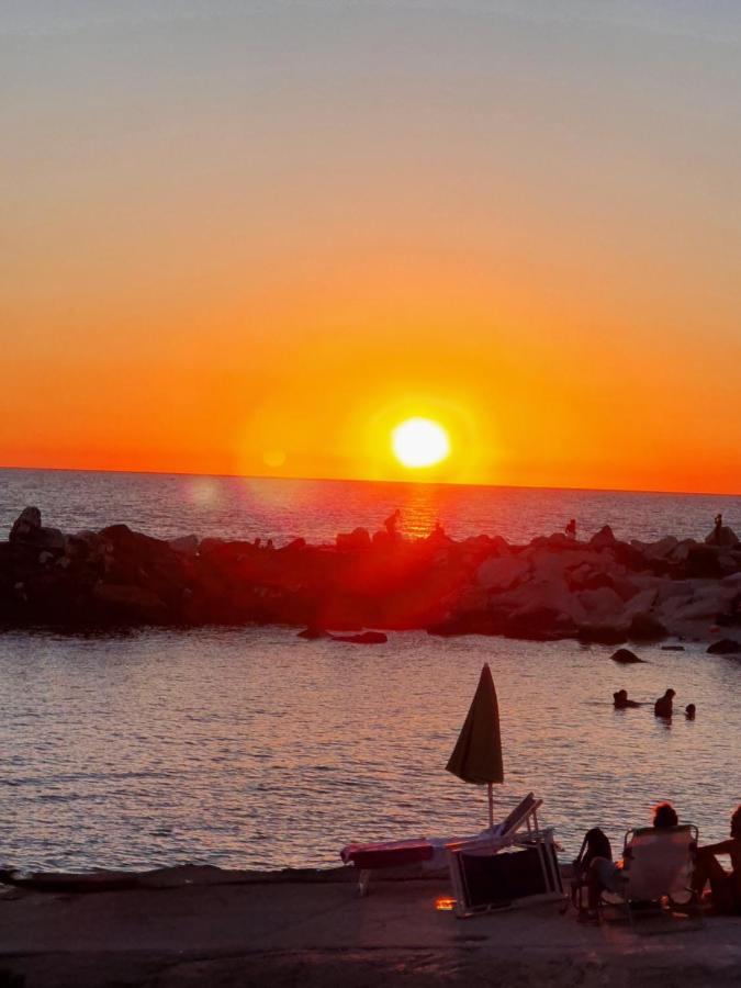 Chalet 4 Or 6 Persons Toscana Viareggio Camping Bosco Verde Italie Torre del Lago Puccini Extérieur photo