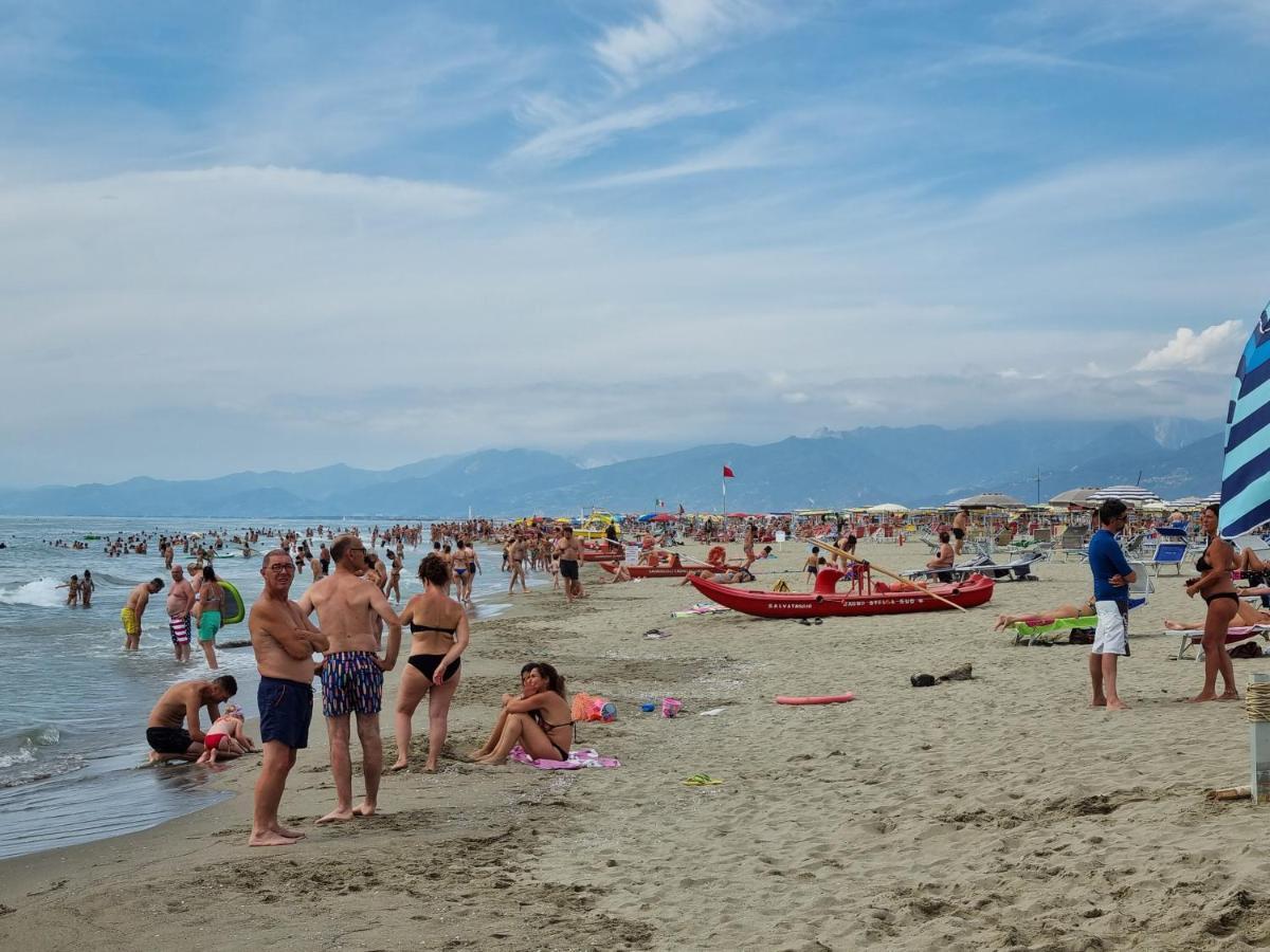Chalet 4 Or 6 Persons Toscana Viareggio Camping Bosco Verde Italie Torre del Lago Puccini Extérieur photo