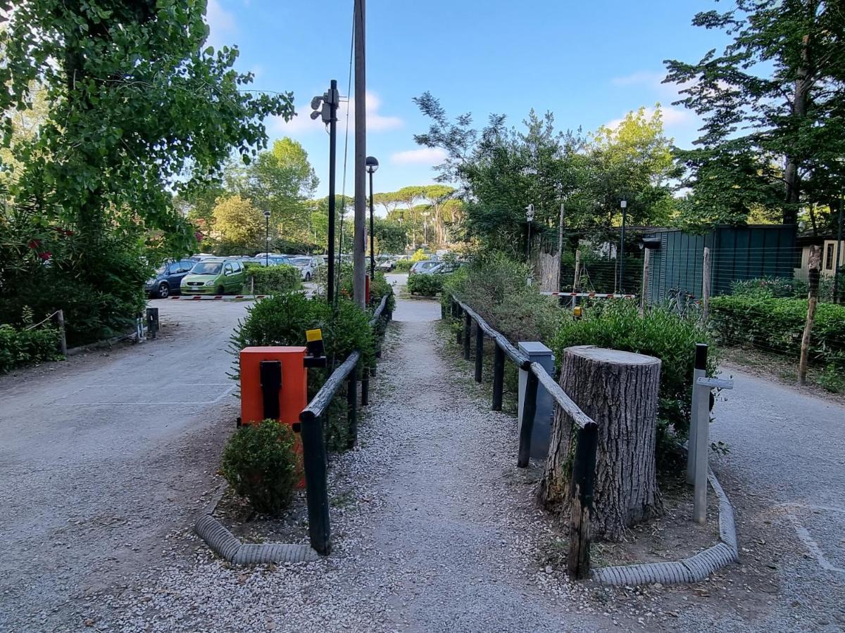 Chalet 4 Or 6 Persons Toscana Viareggio Camping Bosco Verde Italie Torre del Lago Puccini Extérieur photo