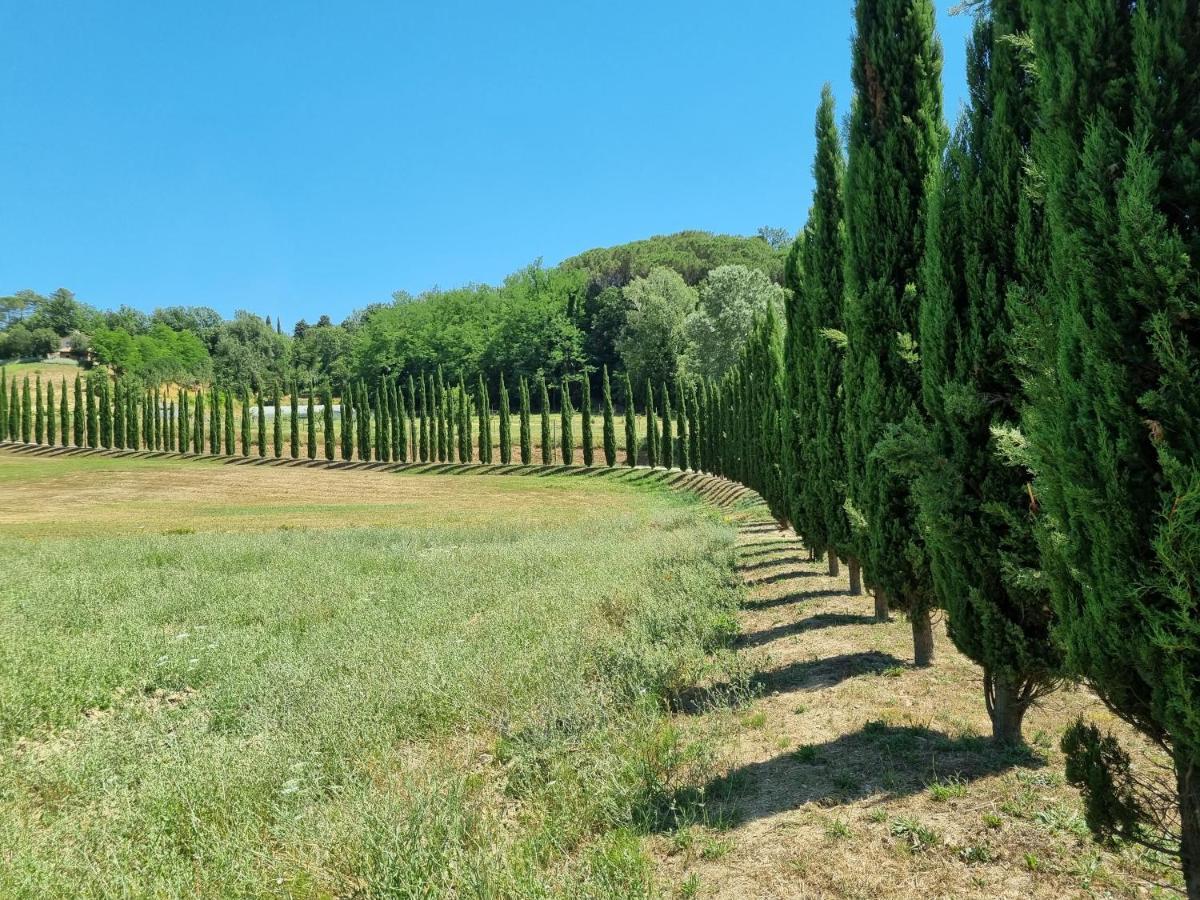 Chalet 4 Or 6 Persons Toscana Viareggio Camping Bosco Verde Italie Torre del Lago Puccini Extérieur photo