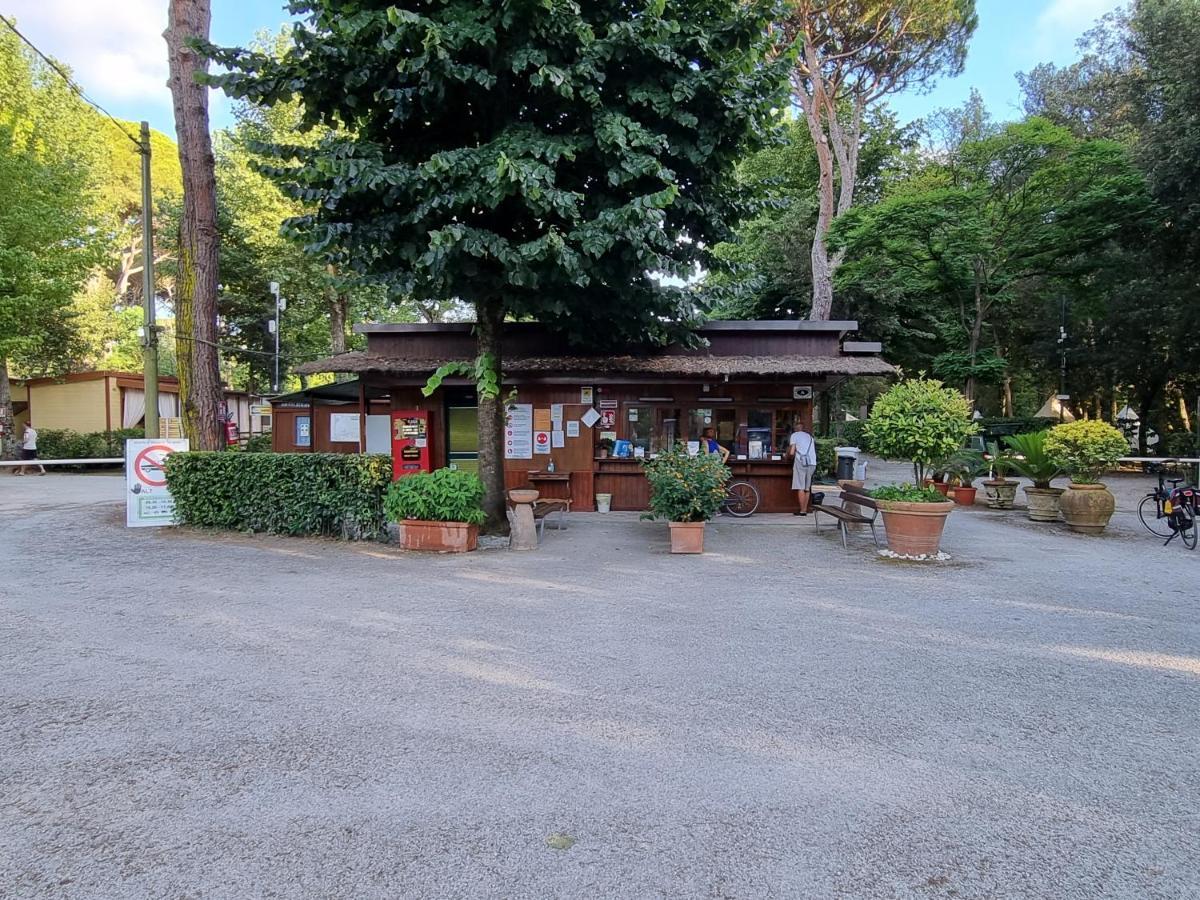Chalet 4 Or 6 Persons Toscana Viareggio Camping Bosco Verde Italie Torre del Lago Puccini Extérieur photo