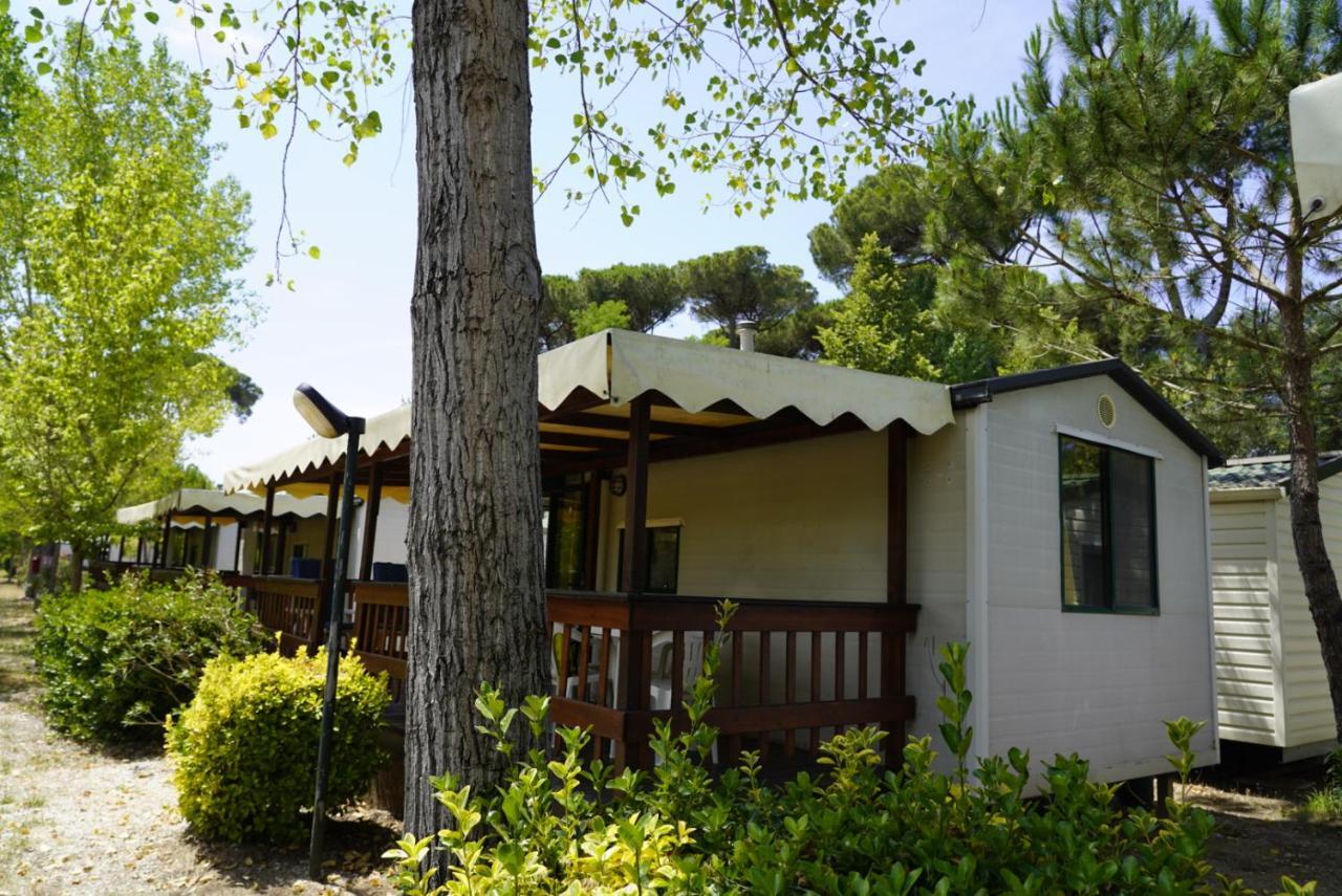Chalet 4 Or 6 Persons Toscana Viareggio Camping Bosco Verde Italie Torre del Lago Puccini Extérieur photo